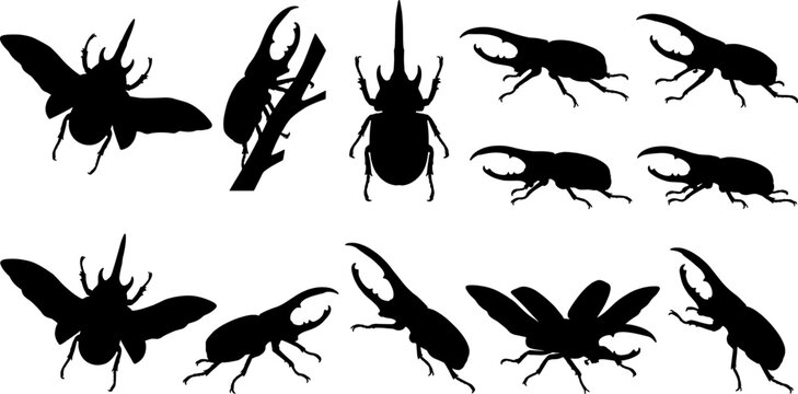 Complete variety of hercules beetle silhouettes flying and climbing on branches in tropical environments