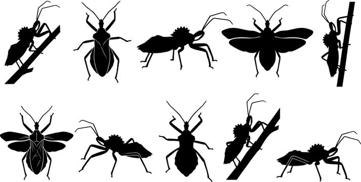 Collection of wheel bug and assassin bug silhouettes in diverse predatory stances