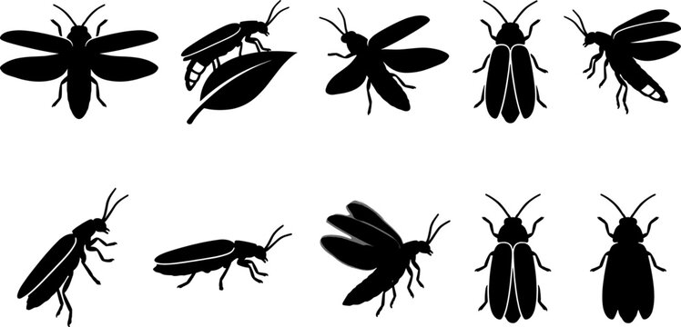 Firefly beetle silhouette bundle featuring flying and resting insects for nature collection set