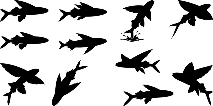 Flying fish silhouette set illustrating gliding actions and leaping movements above the ocean surface