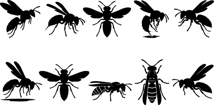 Flying wasp insect silhouette variety pack displaying multiple stinging insects in various aerial and landing positions