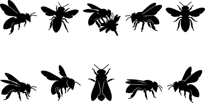 Flying honey bee and floral nectar feeding silhouettes pack for garden themes