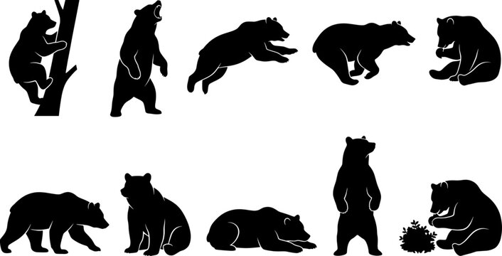 Grizzly bear silhouette set featuring predators climbing trees roaring and foraging for food outdoors