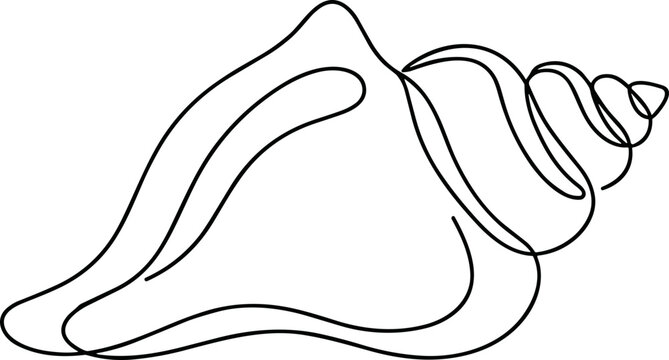 Minimalist single line drawing of a conch shell, artistic and elegant ocean mollusk outline.