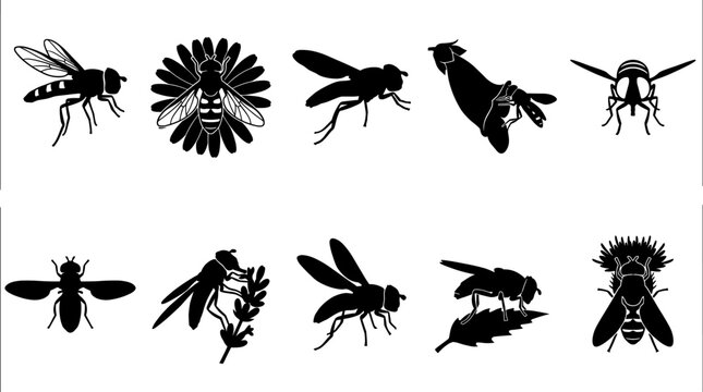 Hoverfly and syrphid fly silhouette variety set for garden and pollination graphics
