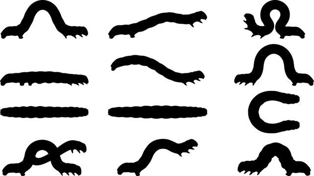 Inchworm and geometridae caterpillar silhouette bundle pack showing looping movement and straight poses