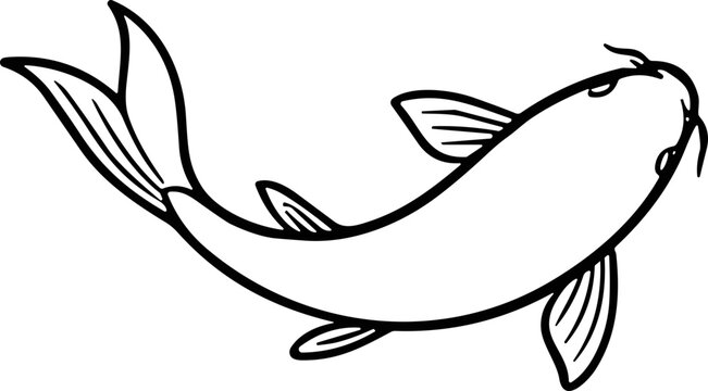 Stylized koi fish illustration, minimalist line art, top view, simple black and white drawing