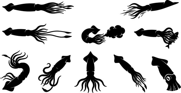 Large collection of squid silhouettes swimming and hunting in various dynamic underwater poses