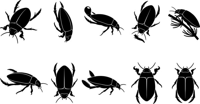 Predatory diving beetle silhouette collection set featuring various aquatic insect poses and views