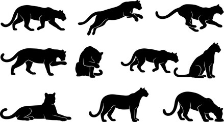 Obraz premium Puma cougar silhouette collection showing mountain lions walking jumping and sitting for wildlife branding