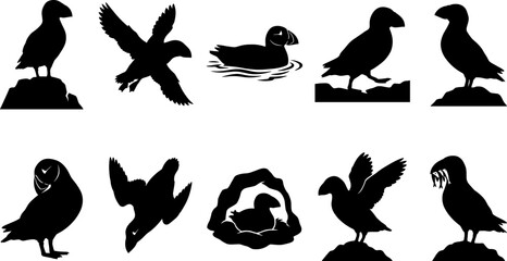 Obraz premium Puffin bird silhouette pack set featuring sea birds standing flying and swimming