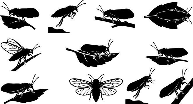Psyllid jumping plant lice silhouette set collection with insects on leaf elements