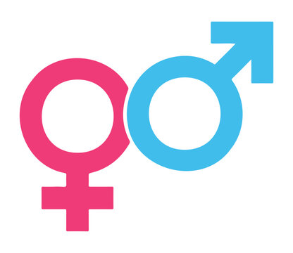 Male and Female Gender Symbols on White Background