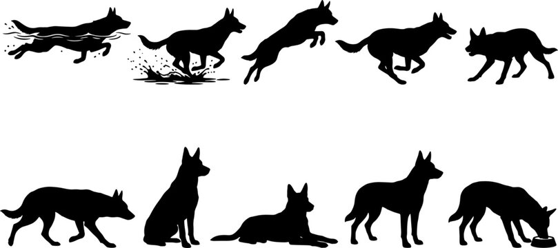 Set of german shepherd silhouettes performing various actions on a plain transparent background
