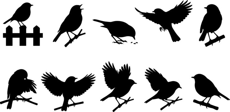 Set of robin bird silhouettes perching and flying for garden wildlife design bundle
