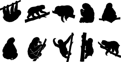 Obraz premium Sloth animal silhouette bundle featuring slow moving arboreal mammals hanging from tropical tree branches