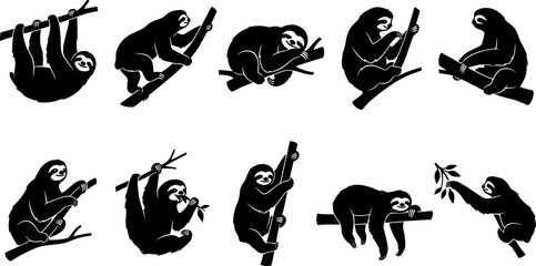 Obraz premium Slow sloth silhouette pack showing mammals hanging from branches and sleeping in tropical trees