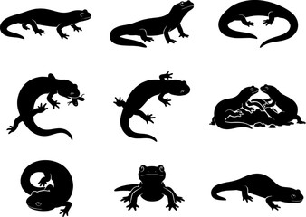 Obraz premium Spotted fire salamander silhouette pack featuring amphibians in various walking and defensive body postures