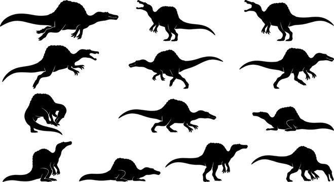 Spinosaurus dinosaur silhouette pack illustrating large sail backed theropods in various predatory and swimming poses