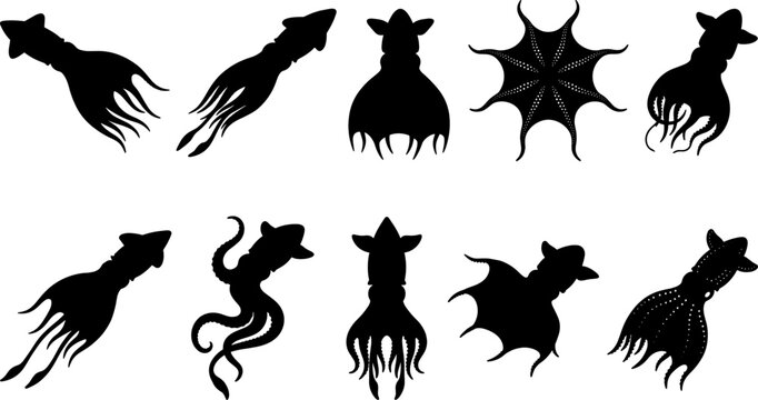 Squid and octopus silhouette collection set featuring various swimming and tentacle poses