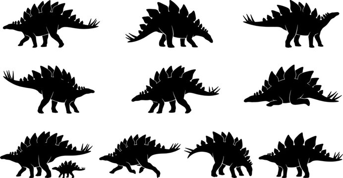 Stegosaurus dinosaur silhouette group featuring armored herbivores with plates and spiked tails in various positions