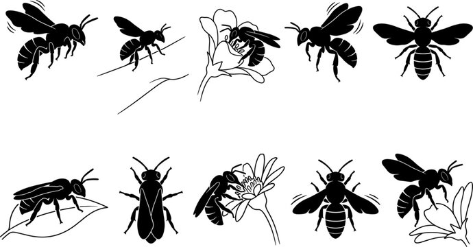 Pollinator bee and flower silhouette collection set featuring honeybees foraging and in flight