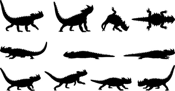Variety pack of thorny devil lizard silhouettes for australian desert wildlife collection set