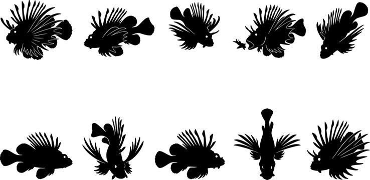 Venomous lionfish silhouette collection featuring tropical fish swimming with extended fins in coral reefs