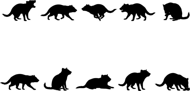 Wild set of tasmanian devil silhouettes running and snarling in australian wilderness environments