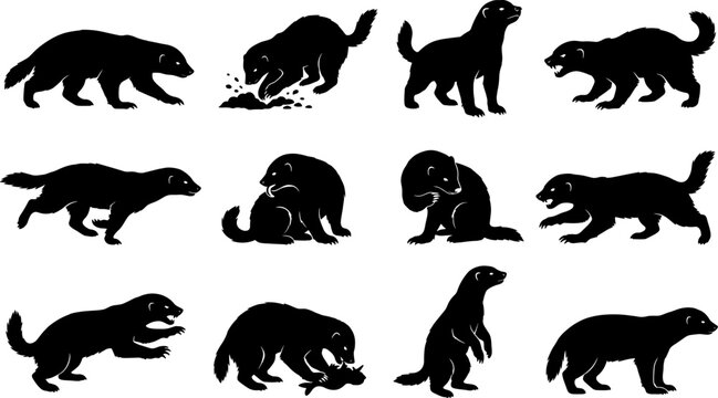 Wolverine animal silhouette set showing various wild mustelid predators in active hunting poses