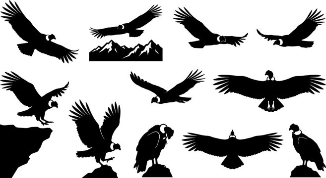 Andean condor silhouette collection bundle set featuring large birds soaring over mountain ranges