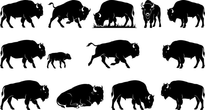Bison and buffalo silhouette pack representing various grazing running and standing poses for prairie themes