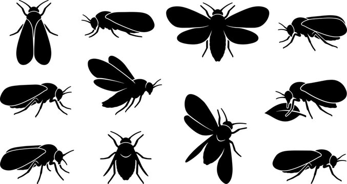 Whitefly and small hemiptera silhouette collection pack with tiny garden pest elements