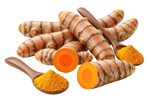Fresh turmeric roots with powder and wooden spoons on transparent background root curcuma longa spice
