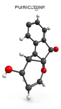 Detailed Ball and Stick Molecule Model Isolated on White Background
