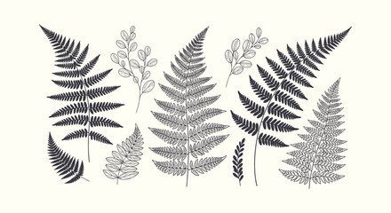 Vintage hand drawn botanical fern leaves set. Monochrome ink foliage illustration for design and art. © vectorial