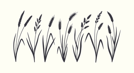 Hand Drawn Black Silhouette Set of Wheat Ears Wild Grass and Barley Stalks on Light Background © vectorial