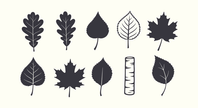 Collection of Black Tree Leaf Silhouettes Including Oak Maple and Birch on a Neutral Background