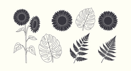 Minimalist botanical vector set featuring sunflower silhouettes, monstera leaves, and fern branch. © vectorial