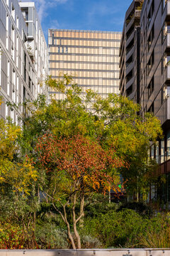 Autumn trees and planting fill a courtyard between apartment buildings in Paris Rive Gauche, connecting residential architecture, garden and urban vegetation