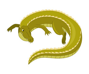 Fototapeta premium Cartoon green crocodile, perfect for childrens book illustrations, educational materials, or wildlife themed designs. Vibrant alligator character