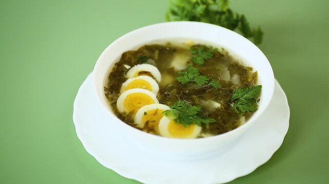 traditional green borscht with sorrel and eggs on a green background