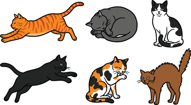 Cute Domestic Cat Poses Vector Illustration Set Featuring Stretching Orange Tabby Sleeping Grey Feline Pouncing Black Cat and Grooming Calico Isolated on White