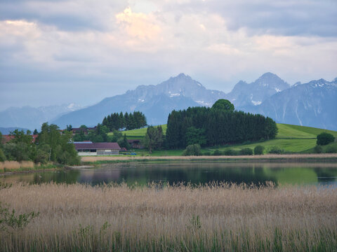 germany, traditional barn overlooking reflective lake and alpine panorama amid flourishing summer farmland scenery