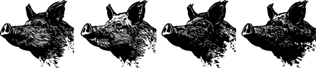 Obraz premium vintage boar head illustration set hand drawn wild animal sketches with detailed fur and tusks black ink art collection