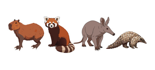 Exotic Mammals Capybara Red Panda and Aardvark Vector Set © revpy