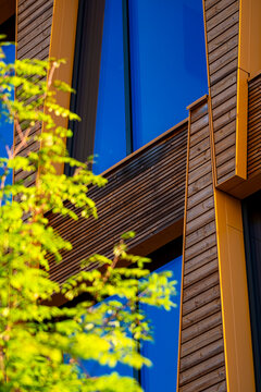 Wood facade and blue glass rise above green leaves, shaping an urban garden view where architecture, sunlight and shadow meet at the edge