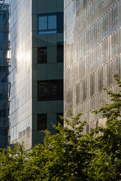 Sunlit facade rises behind trees in urban garden courtyard, where windows, greenery and architecture surfaces create vertical depth