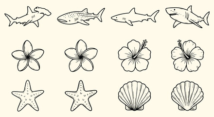 Marine beach icon collection featuring sharks tropical flowers starfish seashells and ocean wildlife elements for coastal tourism vacation branding and nature themed design projects © jonty