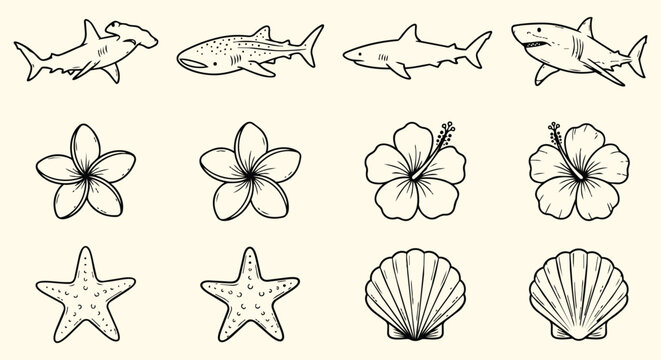 Marine beach icon collection featuring sharks tropical flowers starfish seashells and ocean wildlife elements for coastal tourism vacation branding and nature themed design projects